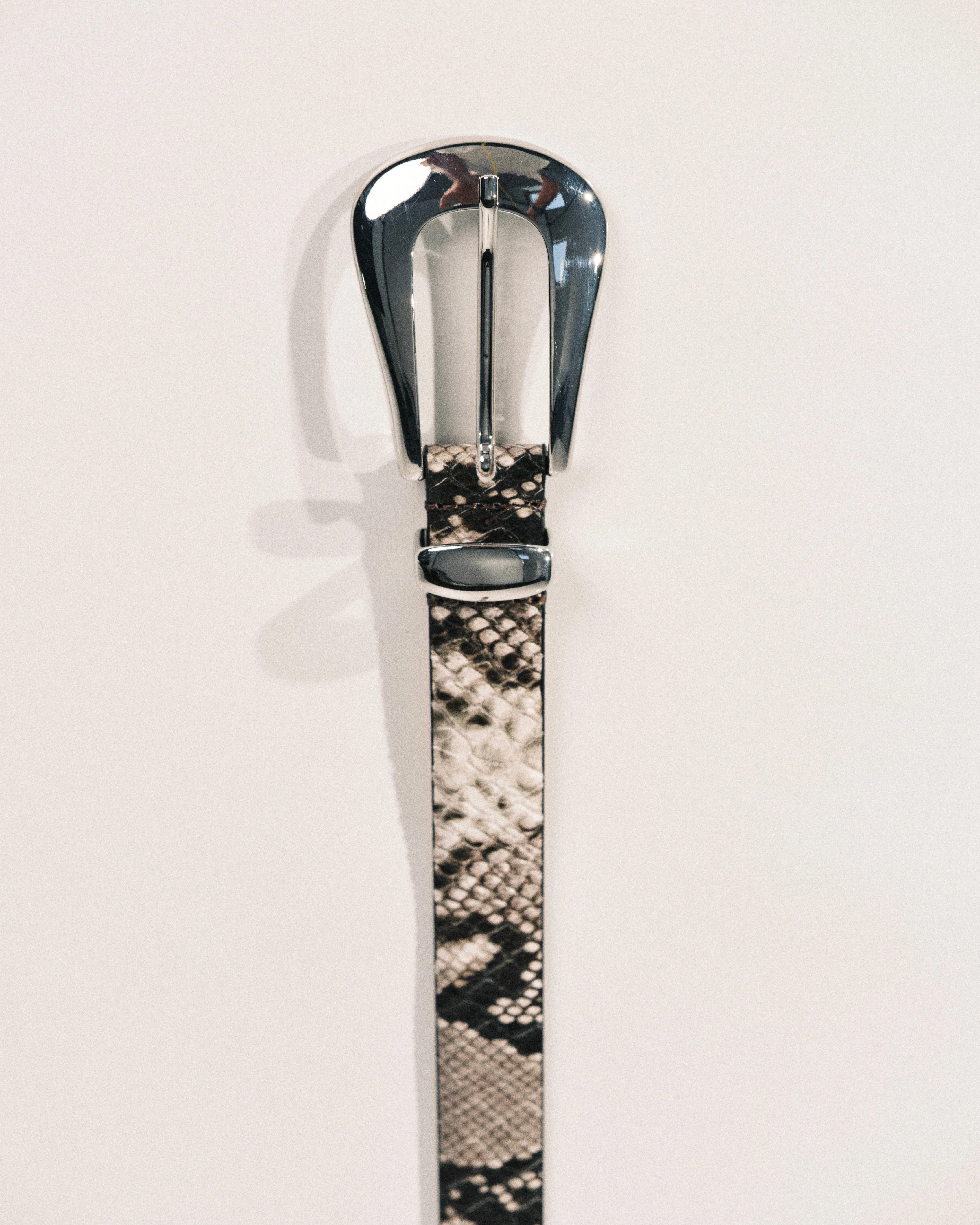 Colette Belt | Snake Beige & Silver - Image 5