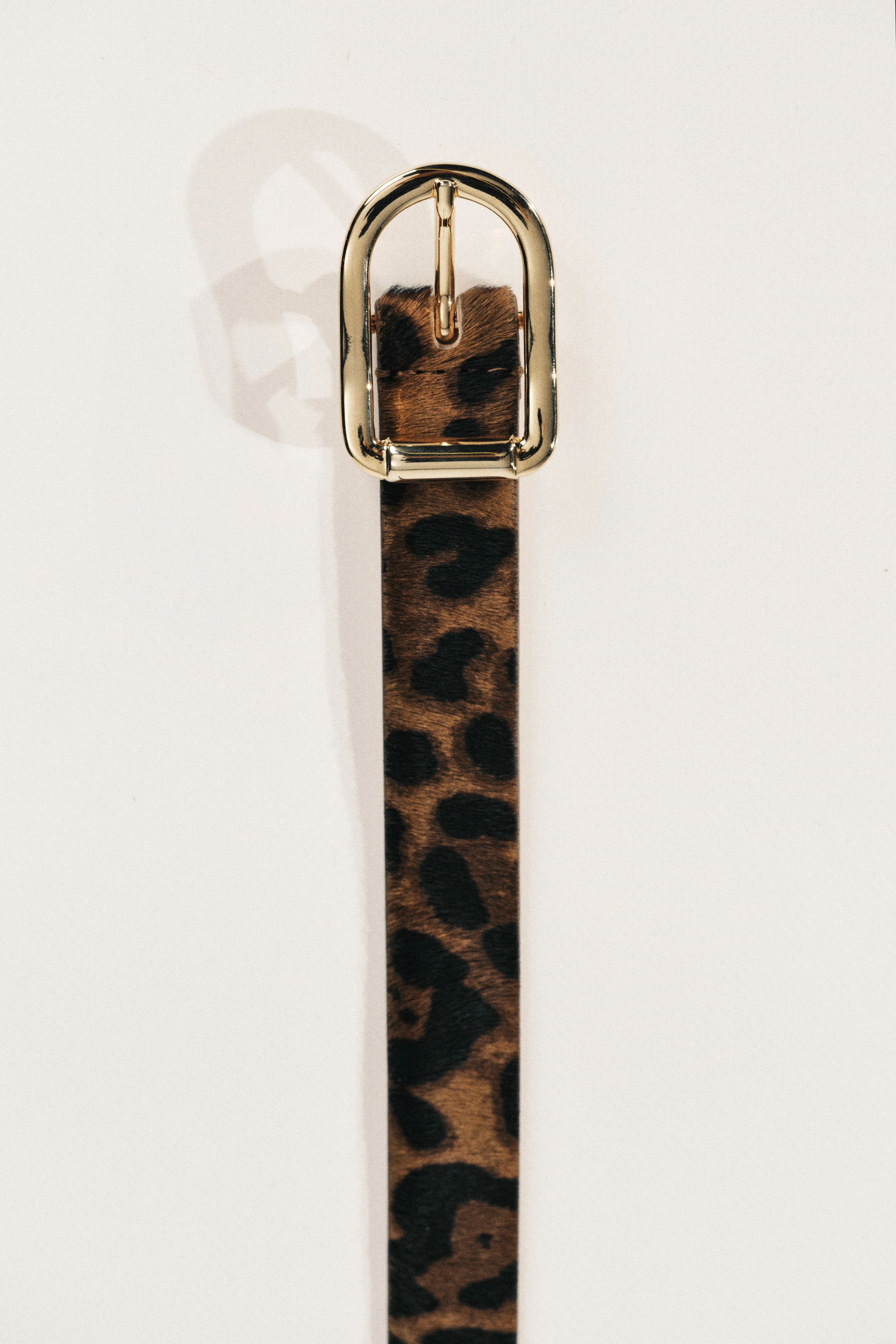Mija Calf Hair Belt | Dark Jaguar & 24K Gold - Image 3