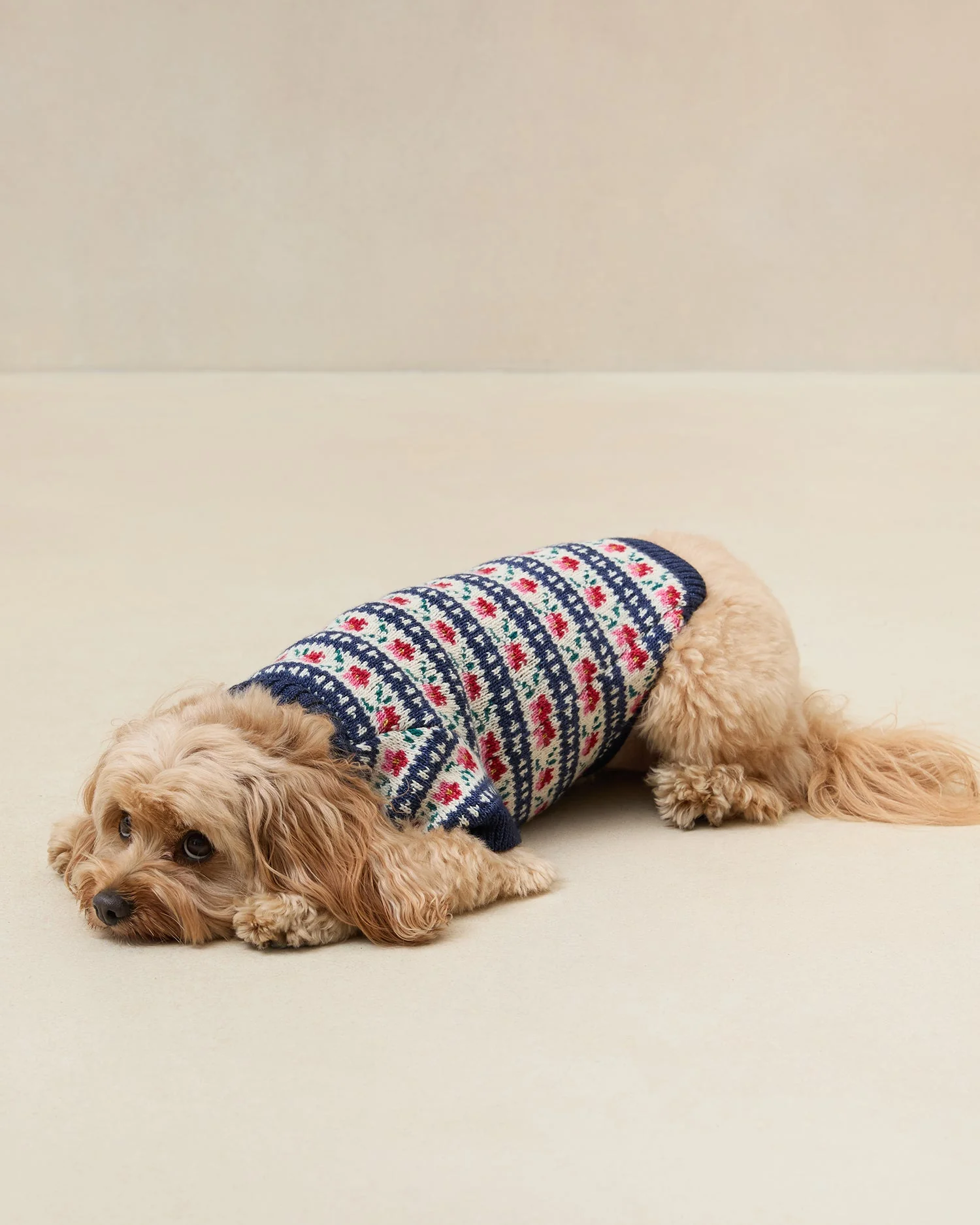 Intarsia Dog Sweater | Blue Jean Floral Intarsia - Image 3