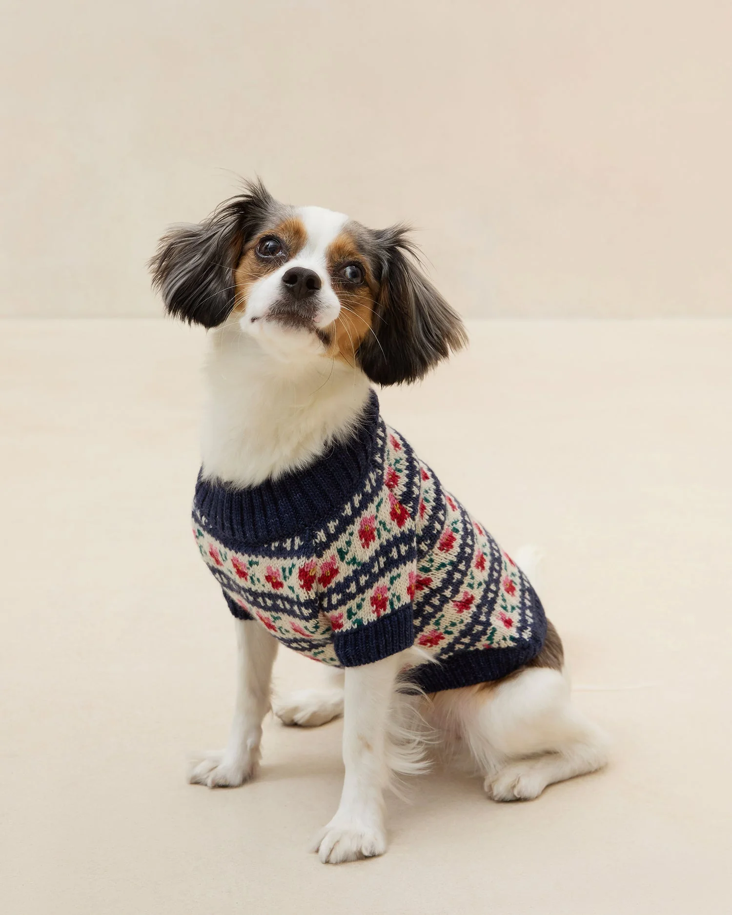 Intarsia Dog Sweater | Blue Jean Floral Intarsia - Image 5