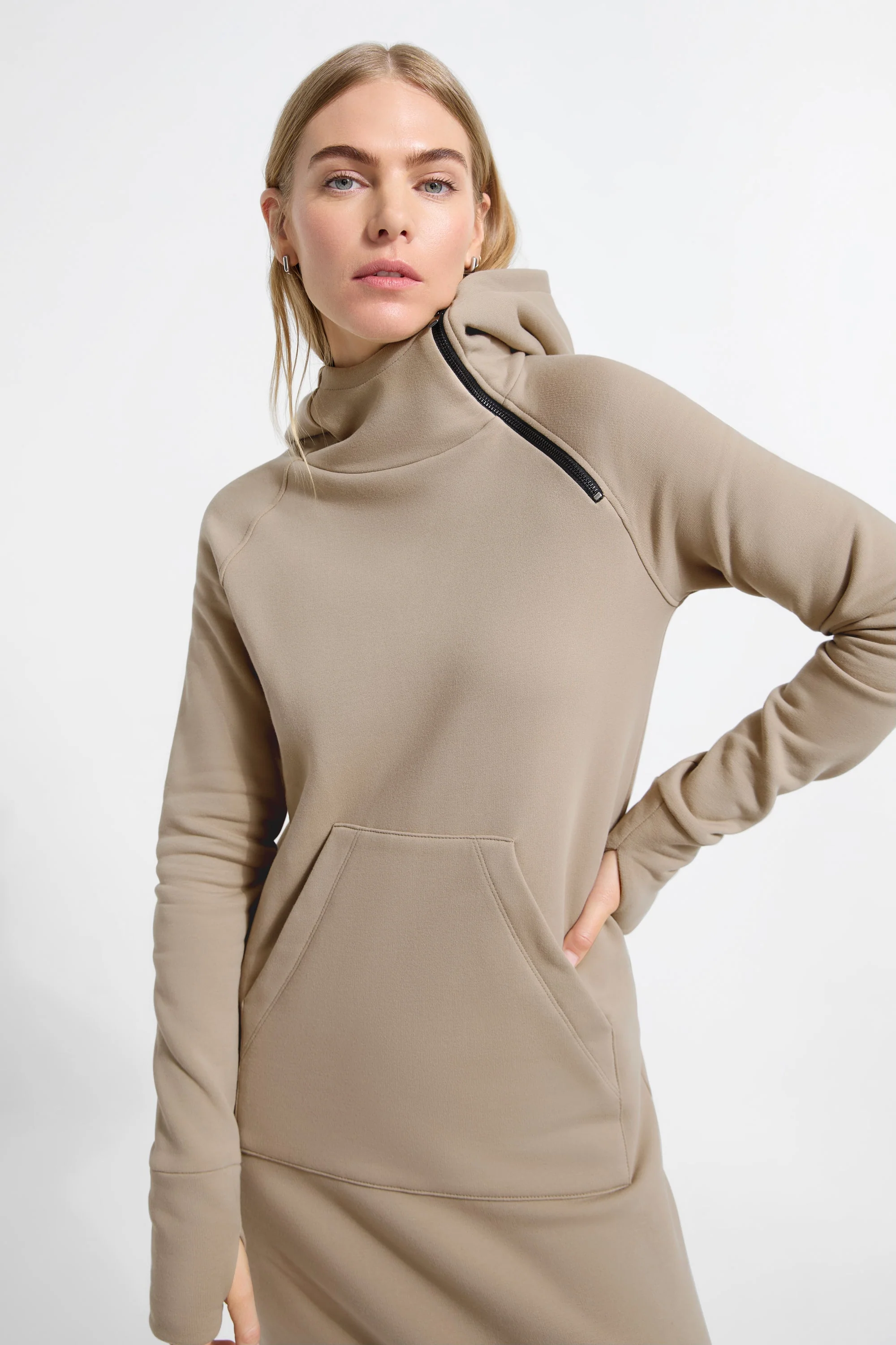 Tompkins Sweatshirt Dress | Multiple Colors